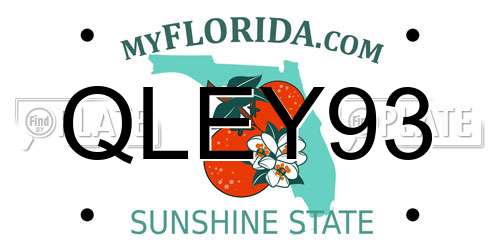 QLEY93 Florida License Plate