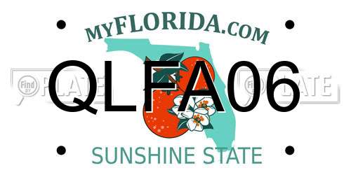 QLFA06 Florida License Plate