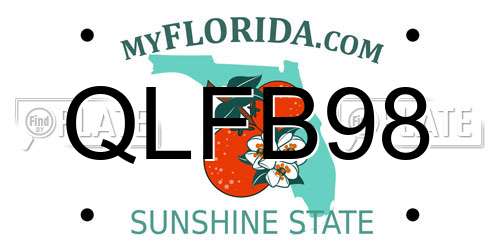 QLFB98 Florida License Plate