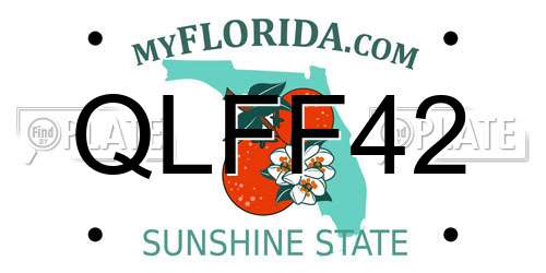 QLFF42 Florida License Plate