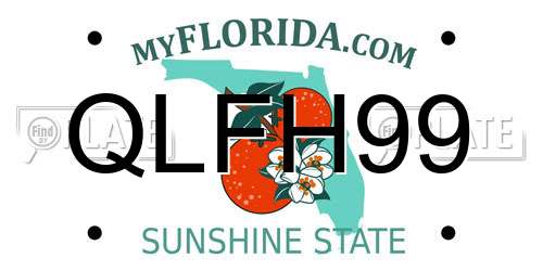 QLFH99 Florida License Plate