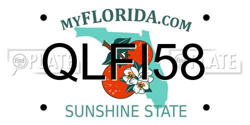 QLFI58 Florida License Plate