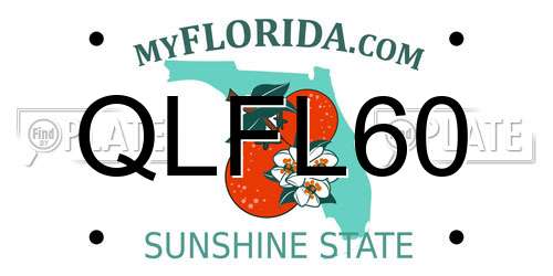 QLFL60 Florida License Plate