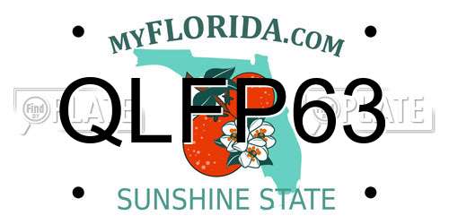 QLFP63 Florida License Plate