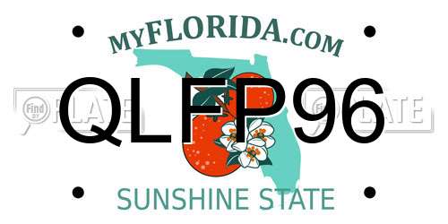 QLFP96 Florida License Plate