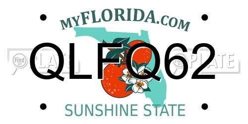QLFQ62 Florida License Plate