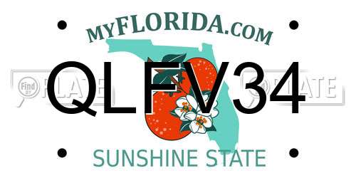 QLFV34 Florida License Plate