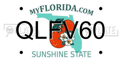 QLFV60 Florida License Plate