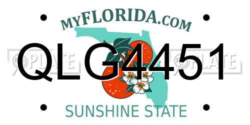 QLG4451 Florida License Plate
