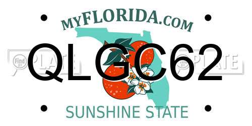 QLGC62 Florida License Plate