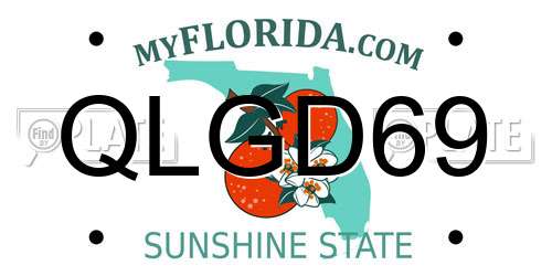 QLGD69 Florida License Plate