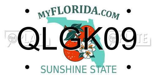 QLGK09 Florida License Plate