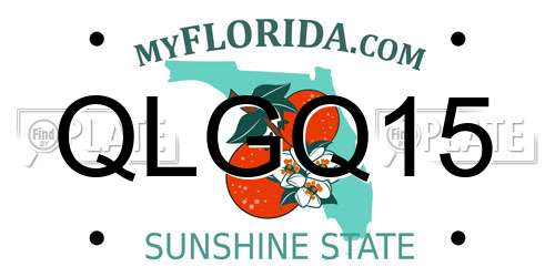 QLGQ15 Florida License Plate