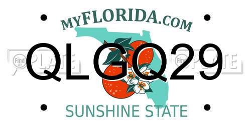 QLGQ29 Florida License Plate