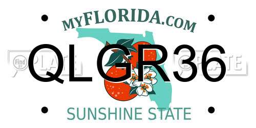 QLGR36 Florida License Plate