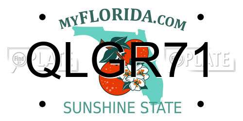 QLGR71 Florida License Plate