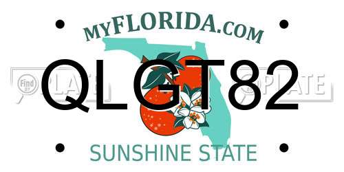 QLGT82 Florida License Plate