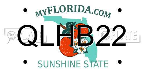 QLHB22 Florida License Plate