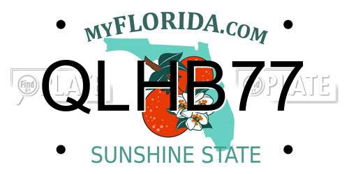 QLHB77 Florida License Plate
