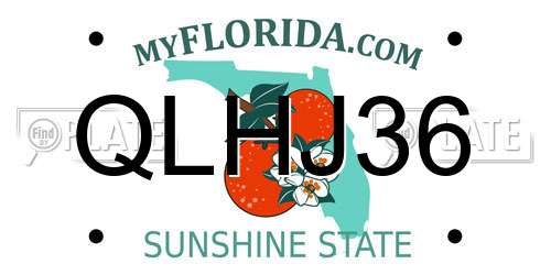 QLHJ36 Florida License Plate