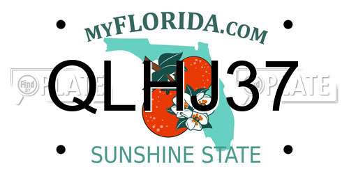 QLHJ37 Florida License Plate