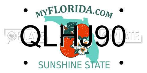 QLHJ90 Florida License Plate