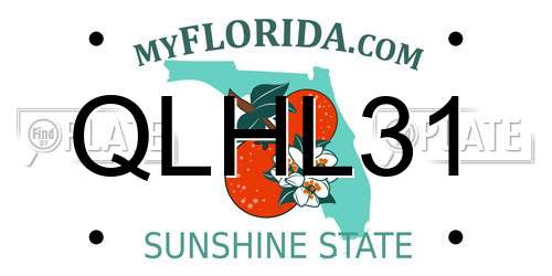 QLHL31 Florida License Plate