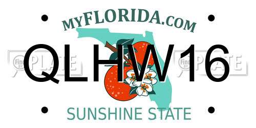 QLHW16 Florida License Plate