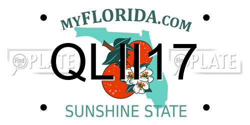 QLII17 Florida License Plate