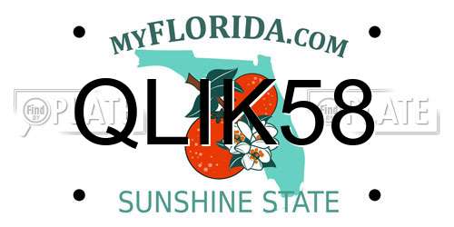 QLIK58 Florida License Plate