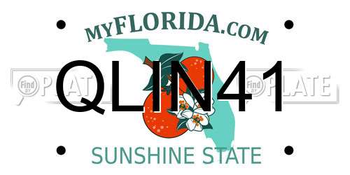 QLIN41 Florida License Plate