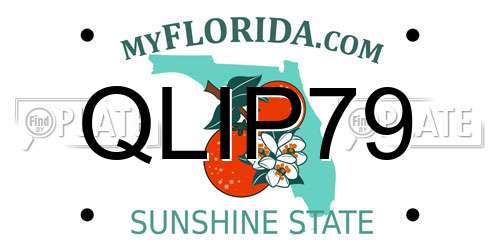 QLIP79 Florida License Plate