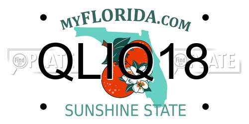 QLIQ18 Florida License Plate