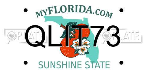 QLIT73 Florida License Plate
