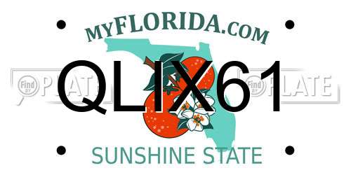 QLIX61 Florida License Plate