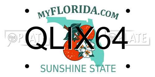 QLIX64 Florida License Plate