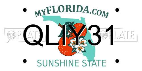 QLIY31 Florida License Plate
