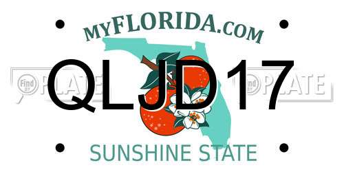 QLJD17 Florida License Plate