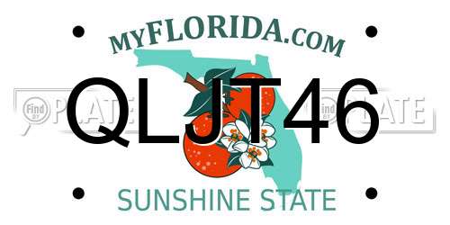QLJT46 Florida License Plate