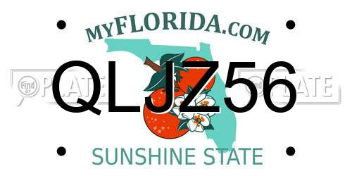 QLJZ56 Florida License Plate