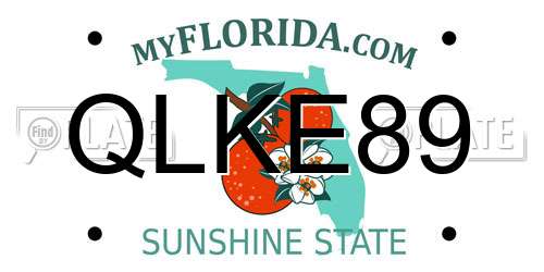 QLKE89 Florida License Plate