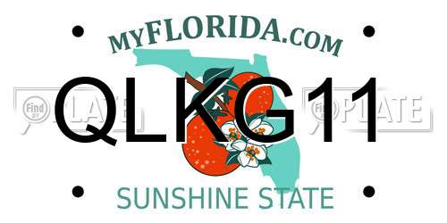 QLKG11 Florida License Plate