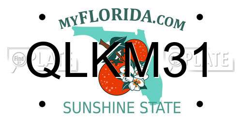 QLKM31 Florida License Plate