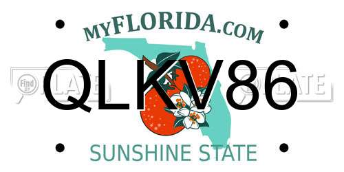QLKV86 Florida License Plate