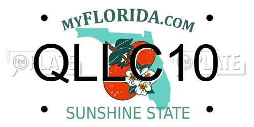 QLLC10 Florida License Plate