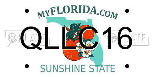 QLLC16 Florida License Plate