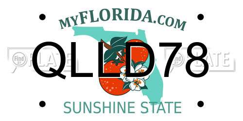 QLLD78 Florida License Plate