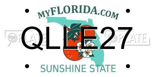QLLE27 Florida License Plate