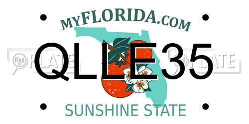 QLLE35 Florida License Plate