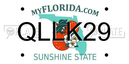 QLLK29 Florida License Plate
